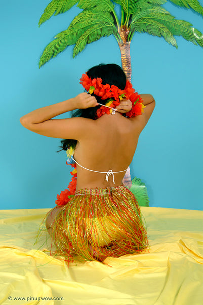 rachael_aloha pin-up glamour photo 47 of 109