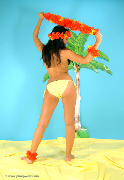rachael_aloha pin-up glamour photo 85 of 109
